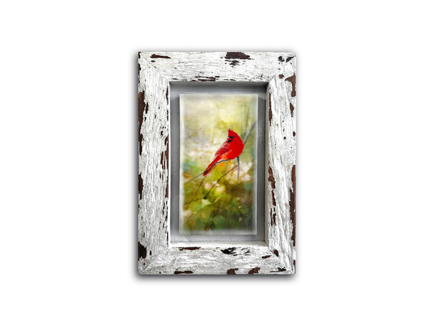 Scarlet Serenade