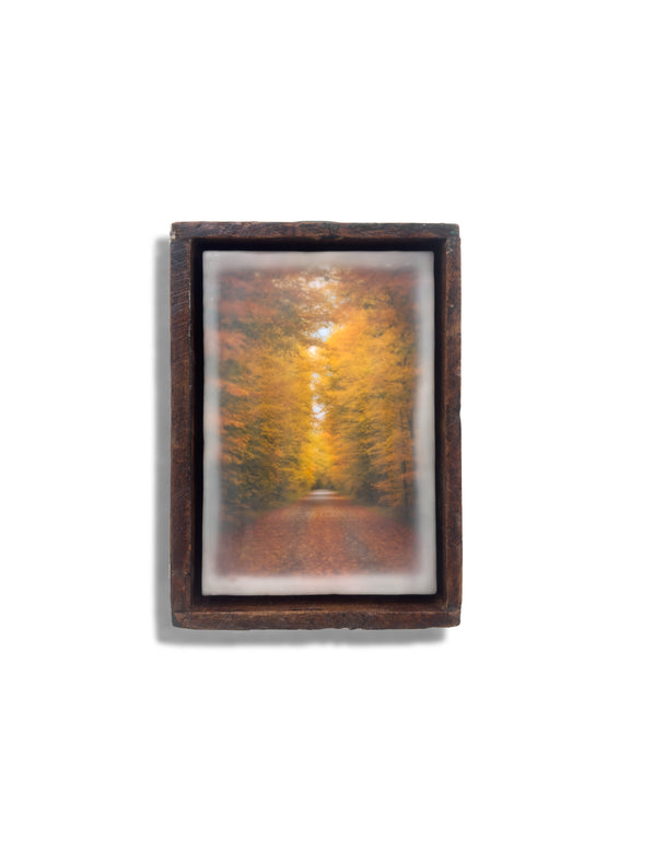 Autumn Dreams