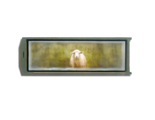 How Ewe Doin'?