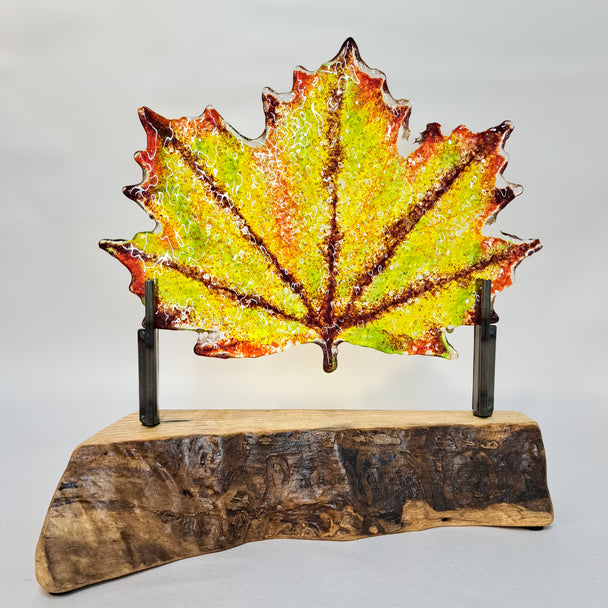 Autumn Leaf II