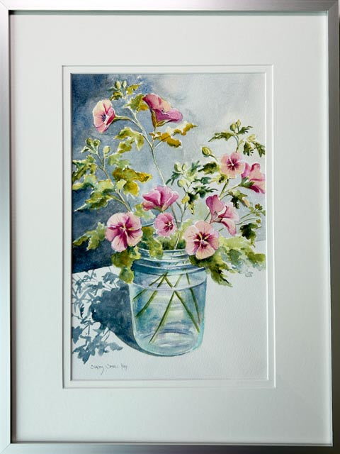 Anisodontea