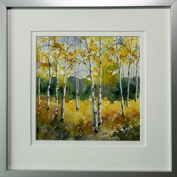 Autumn Forest Birches
