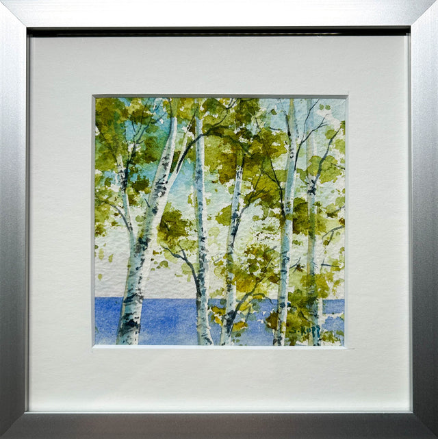 Birches #15