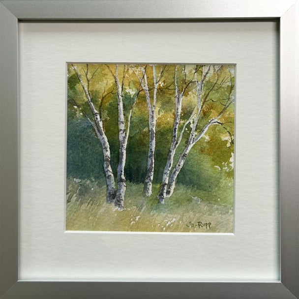 Birches #43