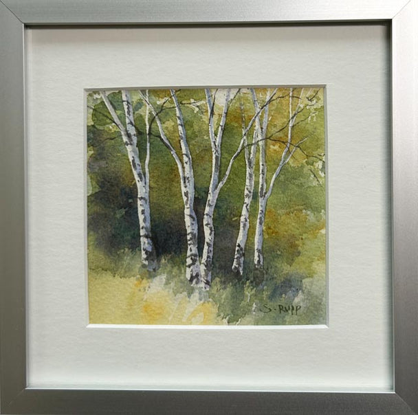 Birches #45
