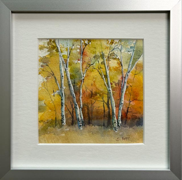 Birches #47