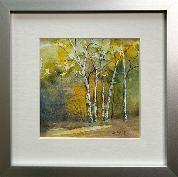 Birches #48