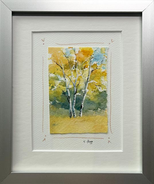 Birches Framed Card #11