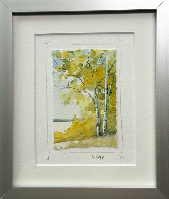 Birches Framed Card #6