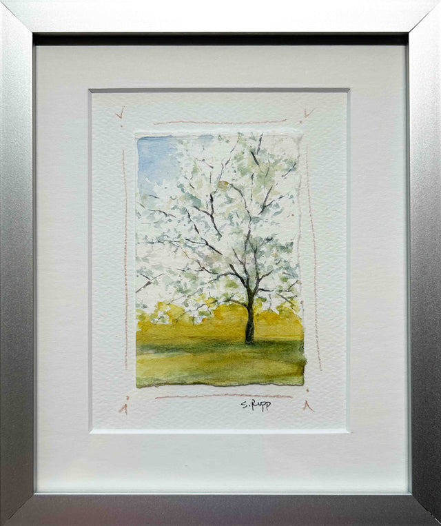 Cherry Blossom Tree Framed Card #7