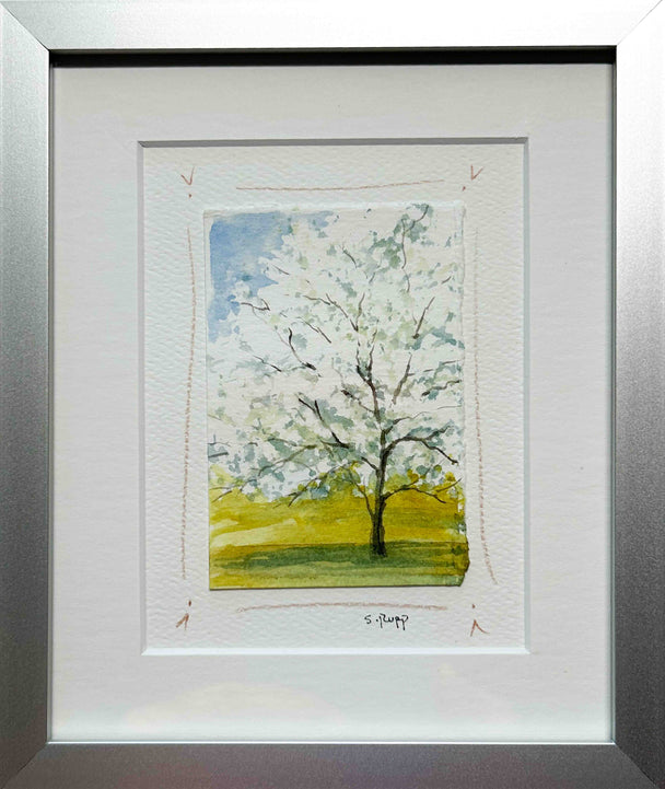 Cherry Blossom Tree Framed Card #8