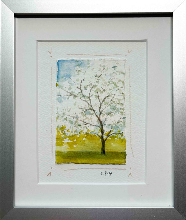 Cherry Blossom Tree Framed Card #9