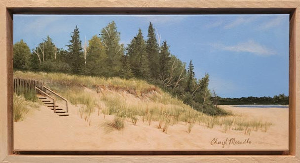 Beach, Birch, Evergreens