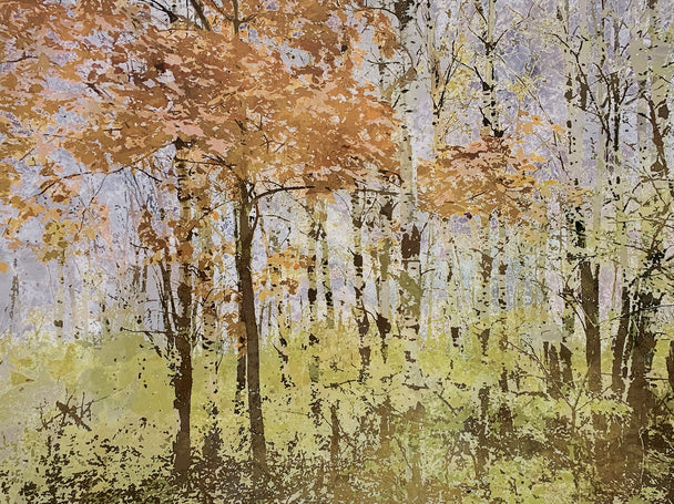 Delight in the Woods