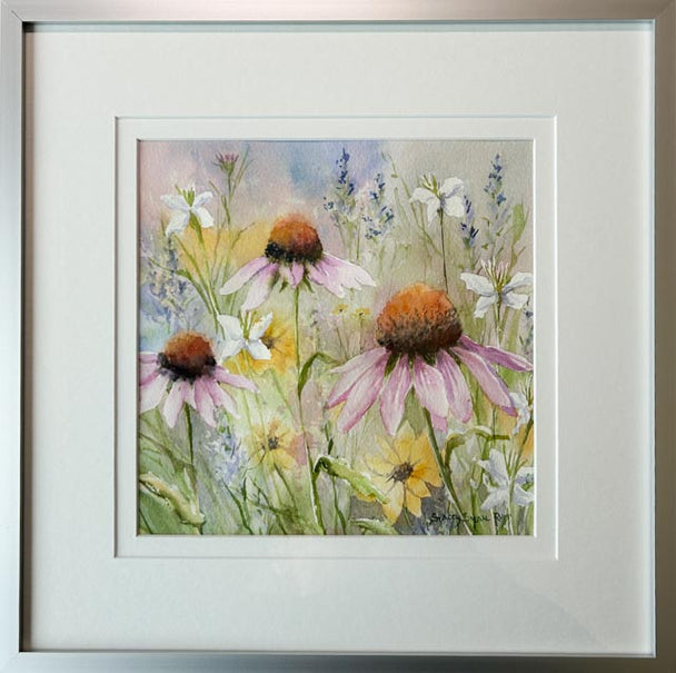 Coneflowers