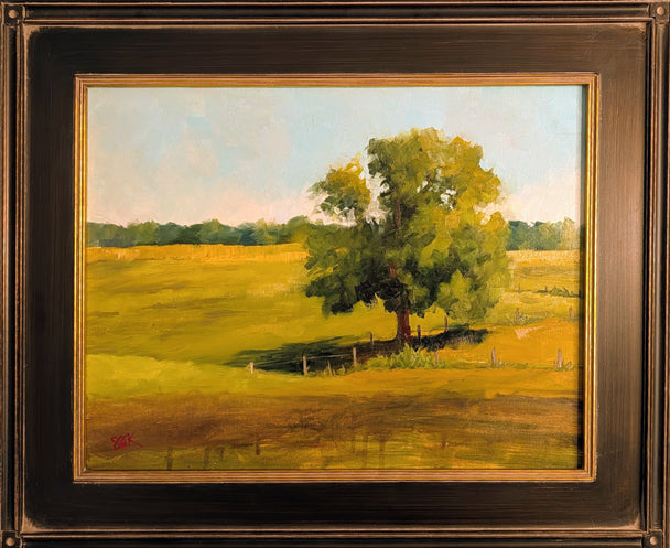 Early Fall Metamorphosis