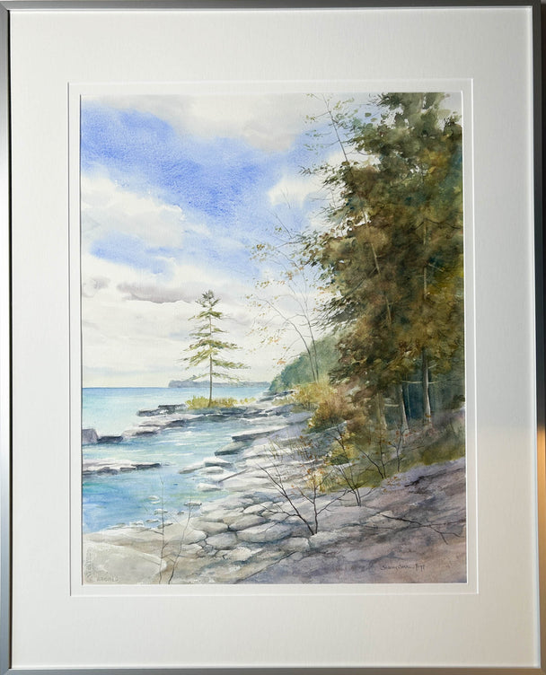 Emma’s Tree at Toft Point