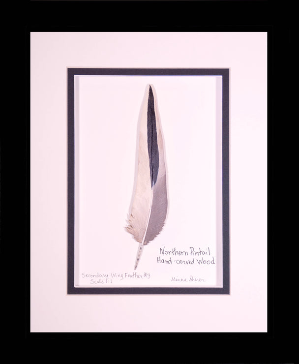 Northern Pintail Secondary Wing Feather Carving