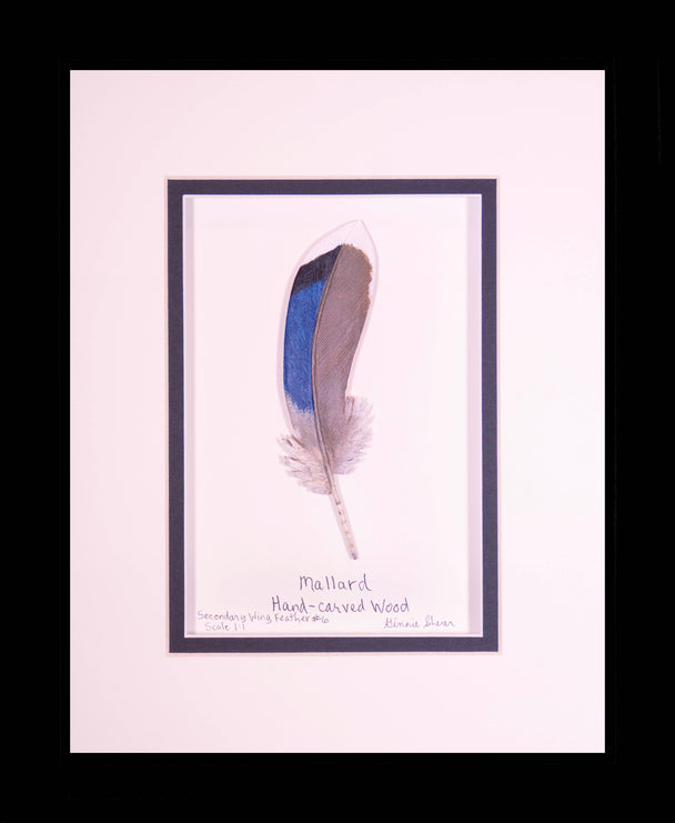 Mallard Secondary Wing Feather Carving