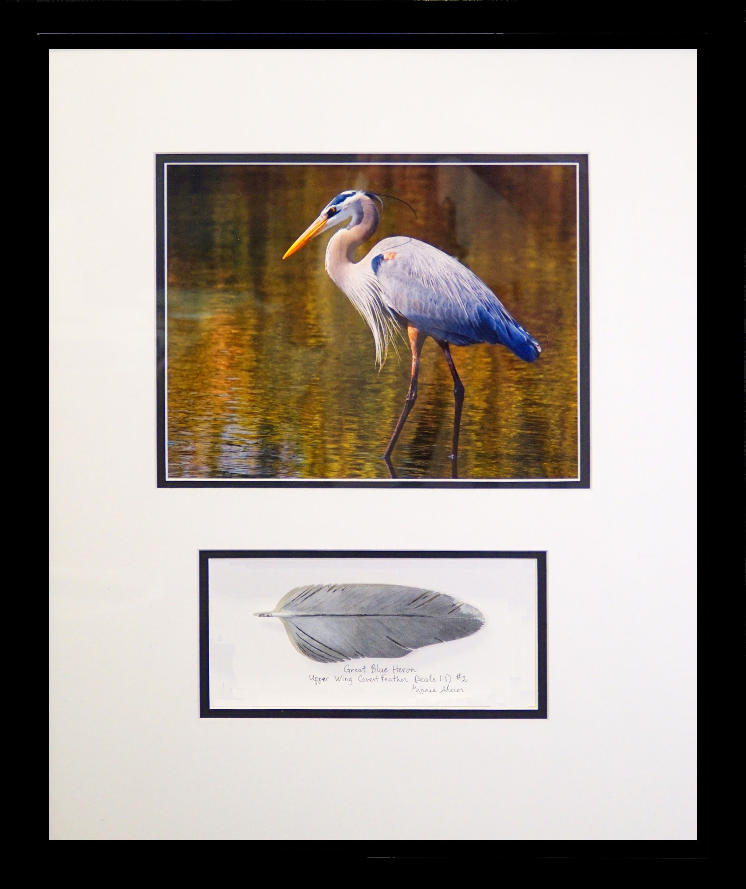 Along for the Ride – Plum Bottom Gallery