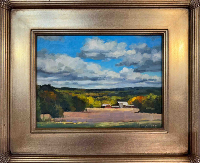 Distant Farm
