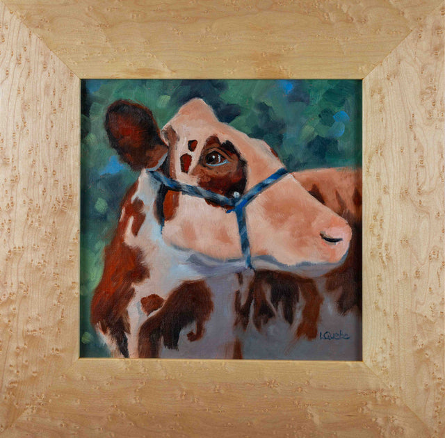 County Fair Champion