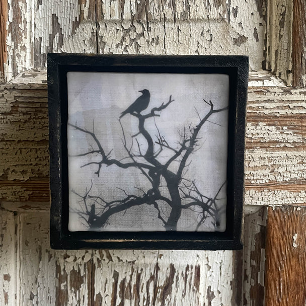 Where Are You Going? Black