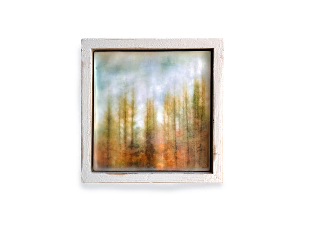 Brushed Pines
