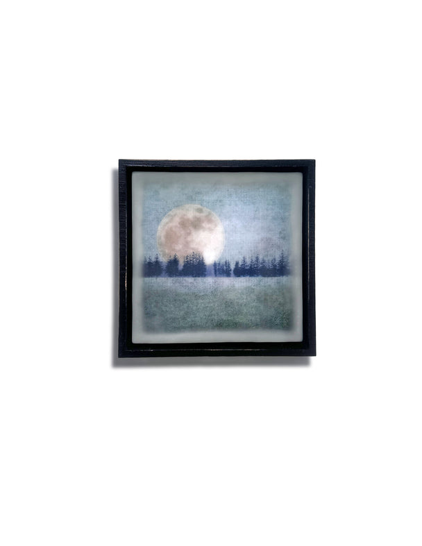 Moonlit
