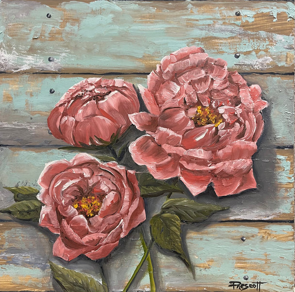 Barnwood Peonies