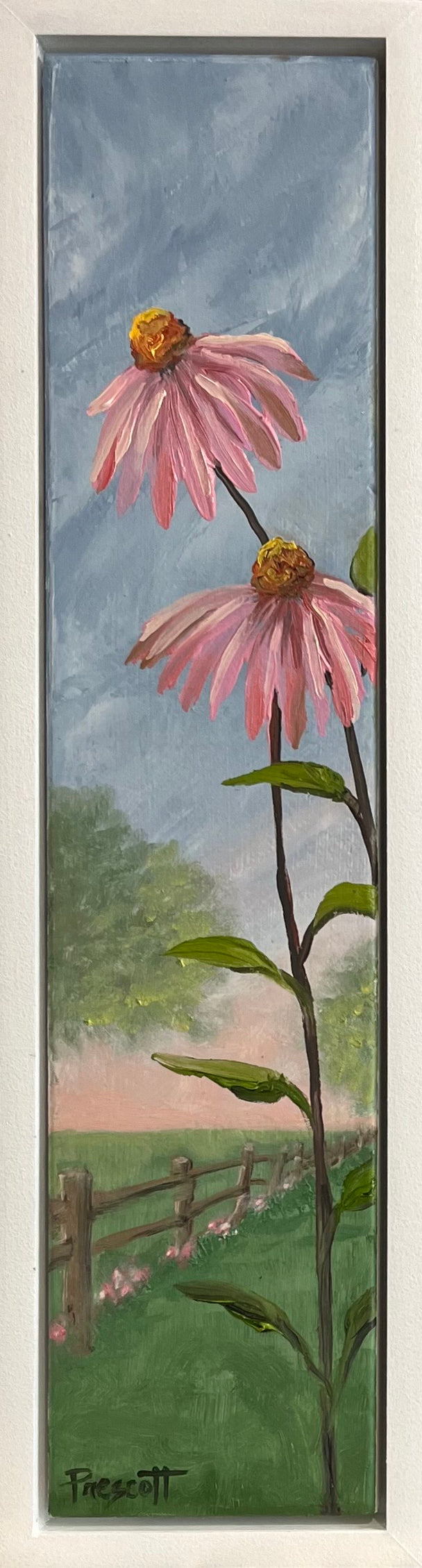 Country Coneflower