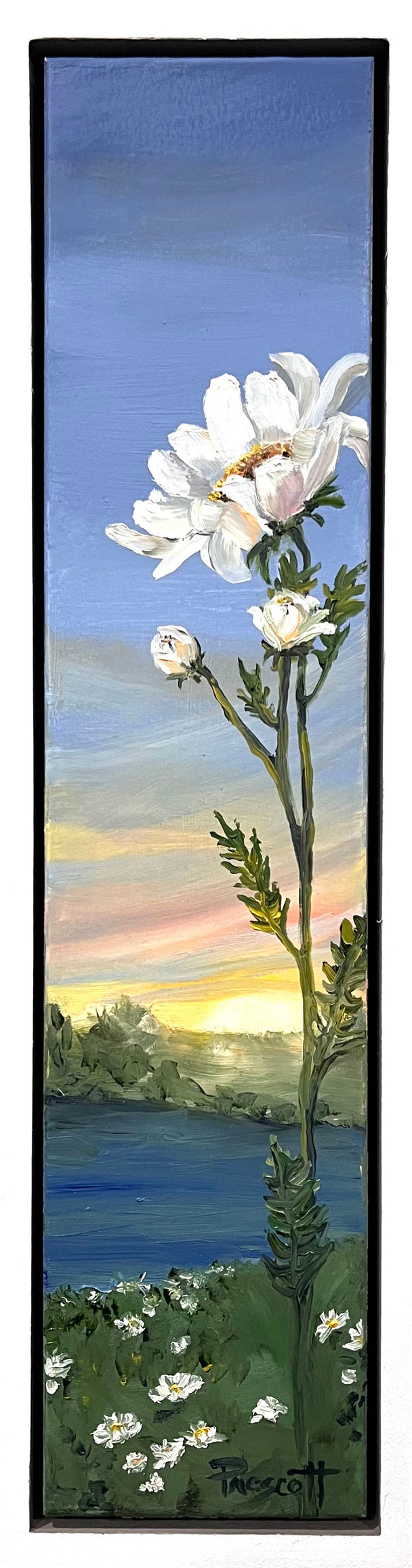 Alluring Anemonie III