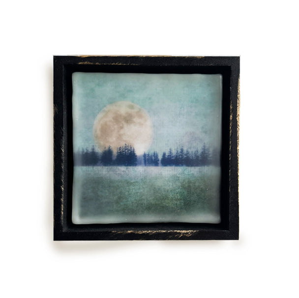 Moonlit