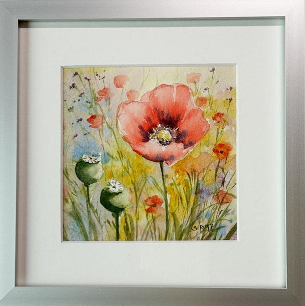 Poppy Love I