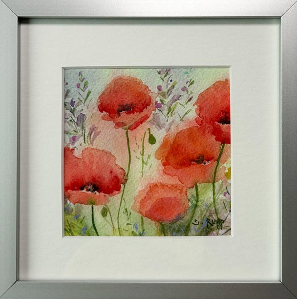 Poppy Love #7