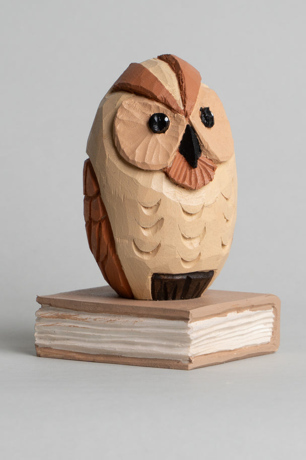 Owl on Book