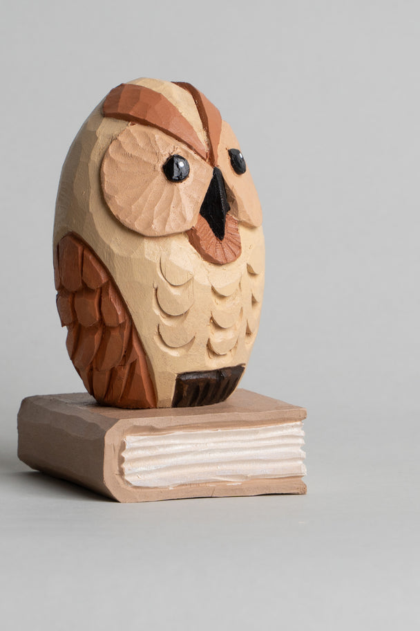 Owl on Book