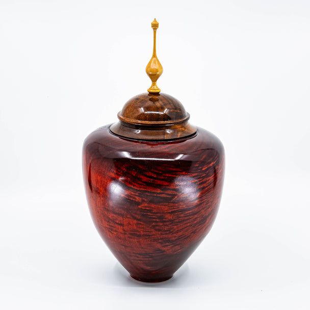 Norway Maple with Walnut Jar and Mahogany Stain