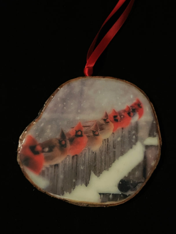 Cardinal Ornament VIII