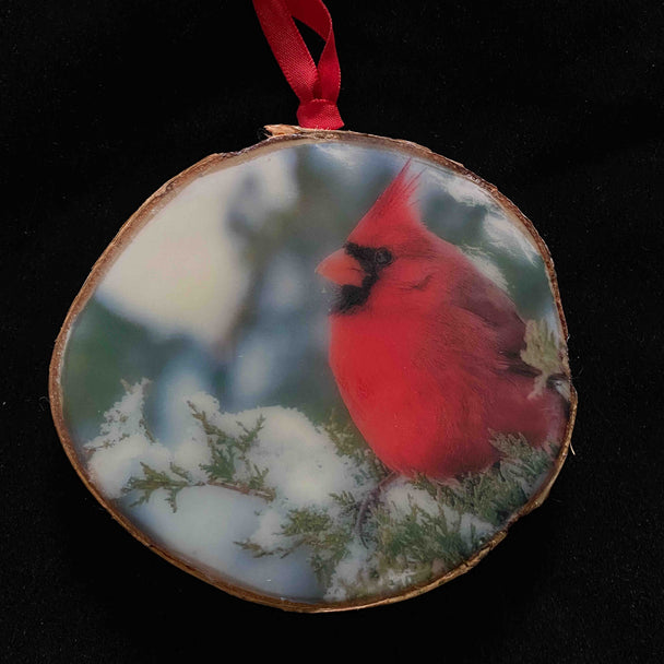 Cardinal Ornament IV