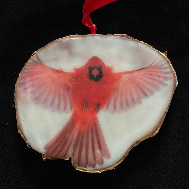 Cardinal Ornament VI