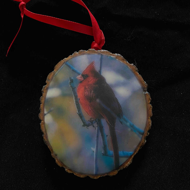 Cardinal Ornament VII