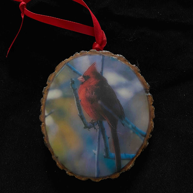 Cardinal Ornament VII