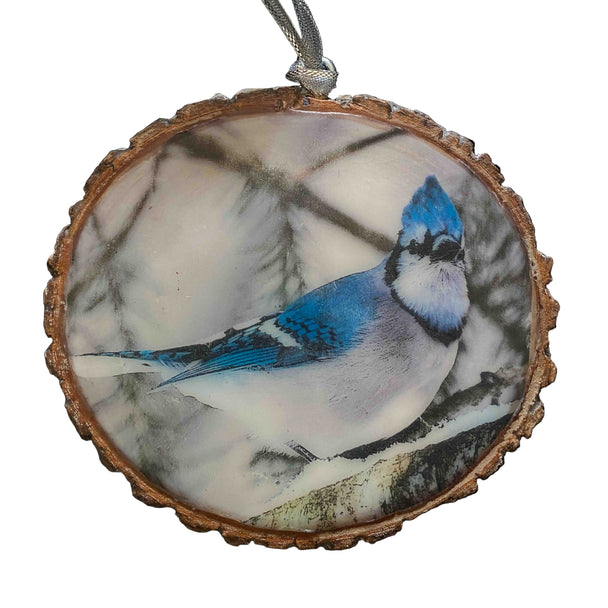 Blue Jay Ornament II