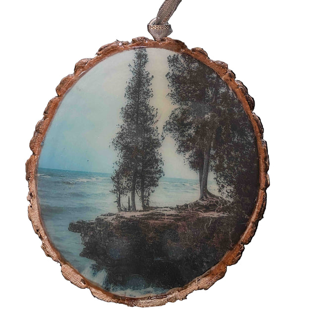 Door County Ornament: Cave Point in Summer