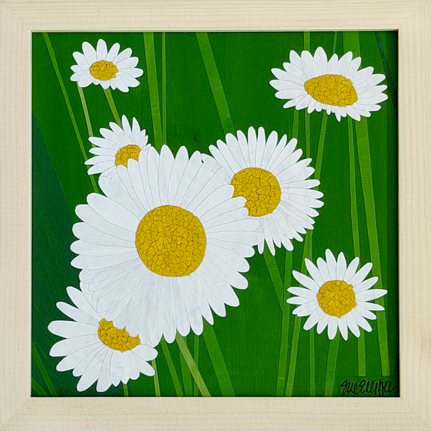 Garden View - Oxeye Daisy