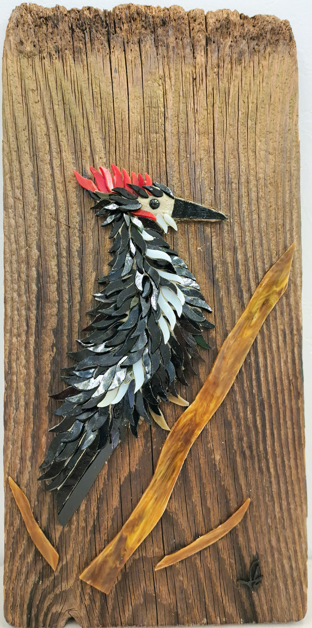 Woodpecker