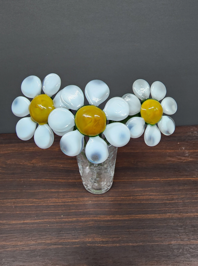 Long Stem Daisy