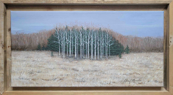 Along the Ahnapee State Trail