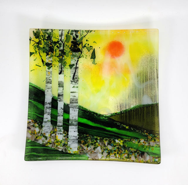 Sunset Triple Birch Tree Square Plate